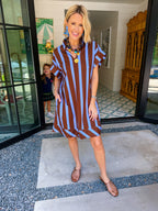 THIS WAY FORWARD STRIPE V NECK DRESS - BLUE/BROWN